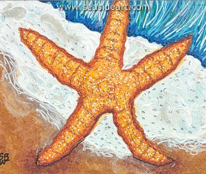 Whitehurst-Starfish IV