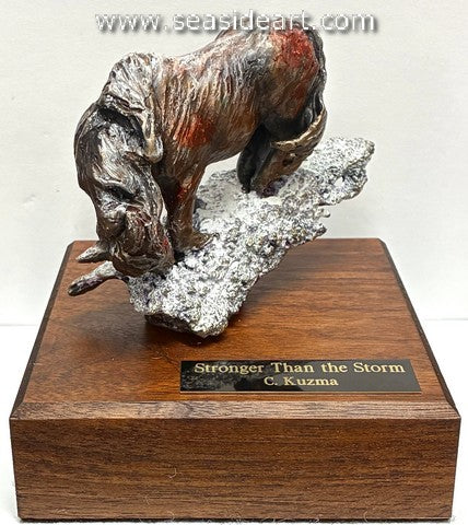 Kuzma-Stronger Than the Storm