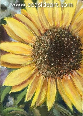 Mikusevich-Sun Flower Power
