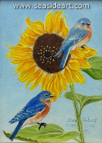Sunshine of My Love (Pr. Bluebirds on Sunflower)