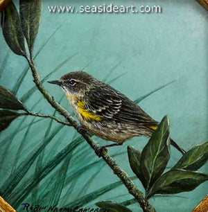 Campbell-Sunshine on My Shoulder