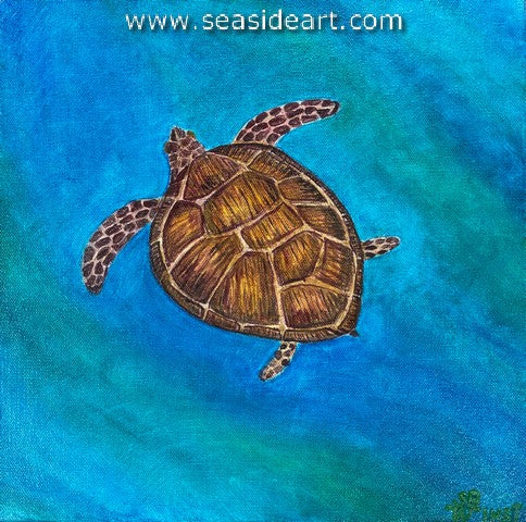 Whitehurst-Swimming Turtle