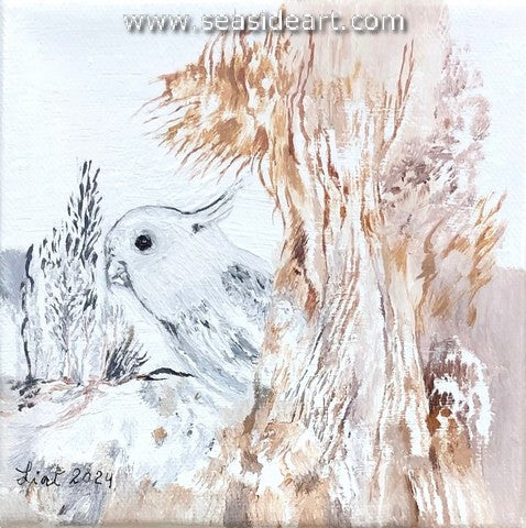 The Dream of Shuki the Parrot