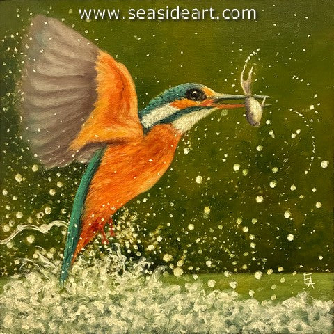 Elgin-The Kingfisher