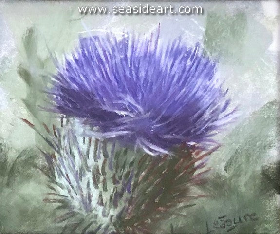 Thistle