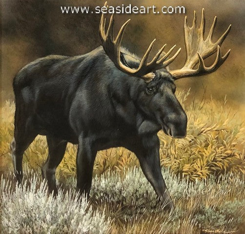 Through the Willows (Moose)