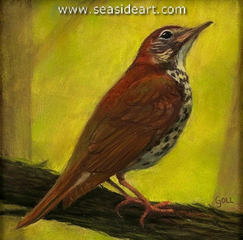 Goll-Thrush in the Spring Wood