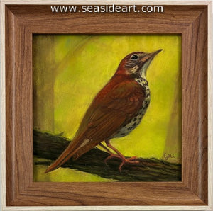 Goll-Thrush in the Spring Wood