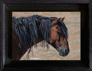 Lalingo-Thunderstruck (Onaqui)