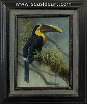 Soft Light (Yellow Throated Toucan)