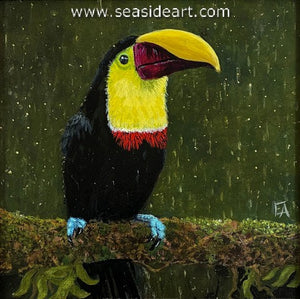 Elgin-Toucan in the Rain