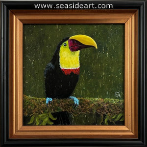 Elgin-Toucan in the Rain