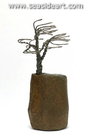 Boltjes-Tree in Limestone