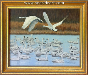 Abbott-Tundra Swan Flyover