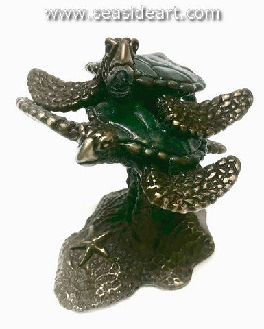 Crawford-Turtle Play (One of a Kind)