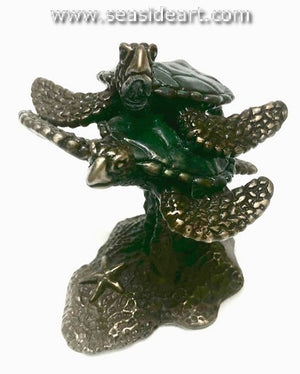 Crawford-Turtle Play (One of a Kind)