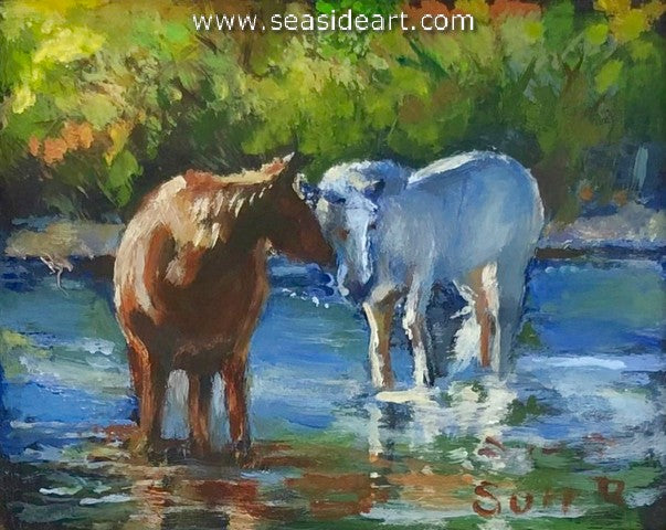 Salt River Wild Horses