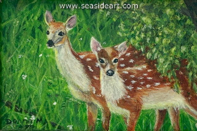 Meinershagen-Venturing Out