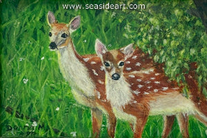 Meinershagen-Venturing Out