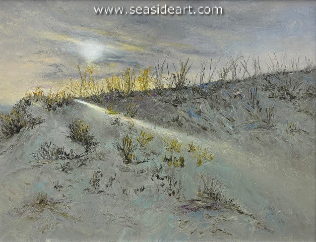 Bridgman-Waning Winter Sun, Coquina