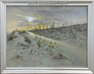 Bridgman-Waning Winter Sun, Coquina