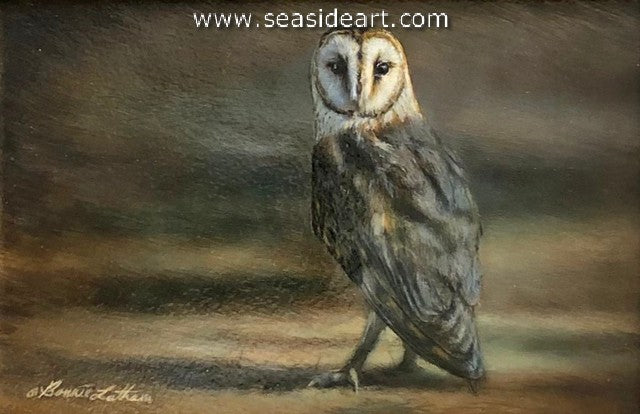 Watchful Eye (Barn Owl)