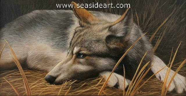 Watching (Timber Wolf)