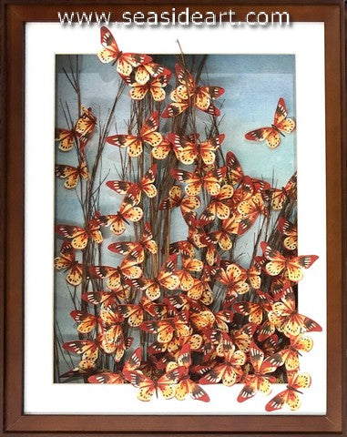 White-barred Acraea #3