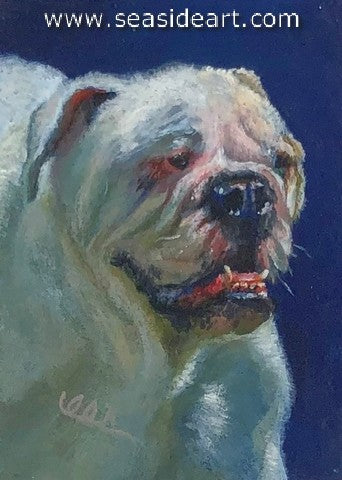 Sloviko-White Bulldog