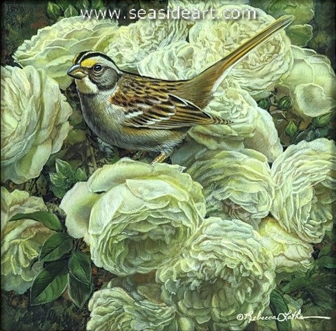 White Roses (White-throated Sparrow) - Seaside Art Gallery