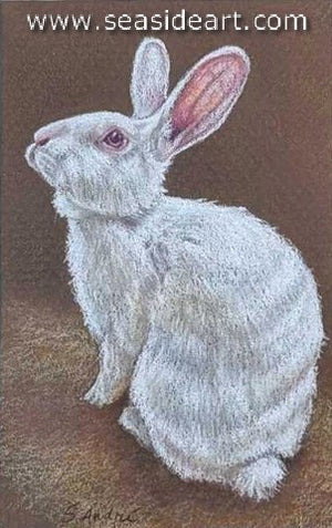 Andre - White Satin Rabbit
