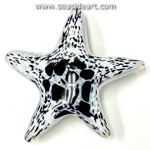 Duman-White Star Fish with Black Spots