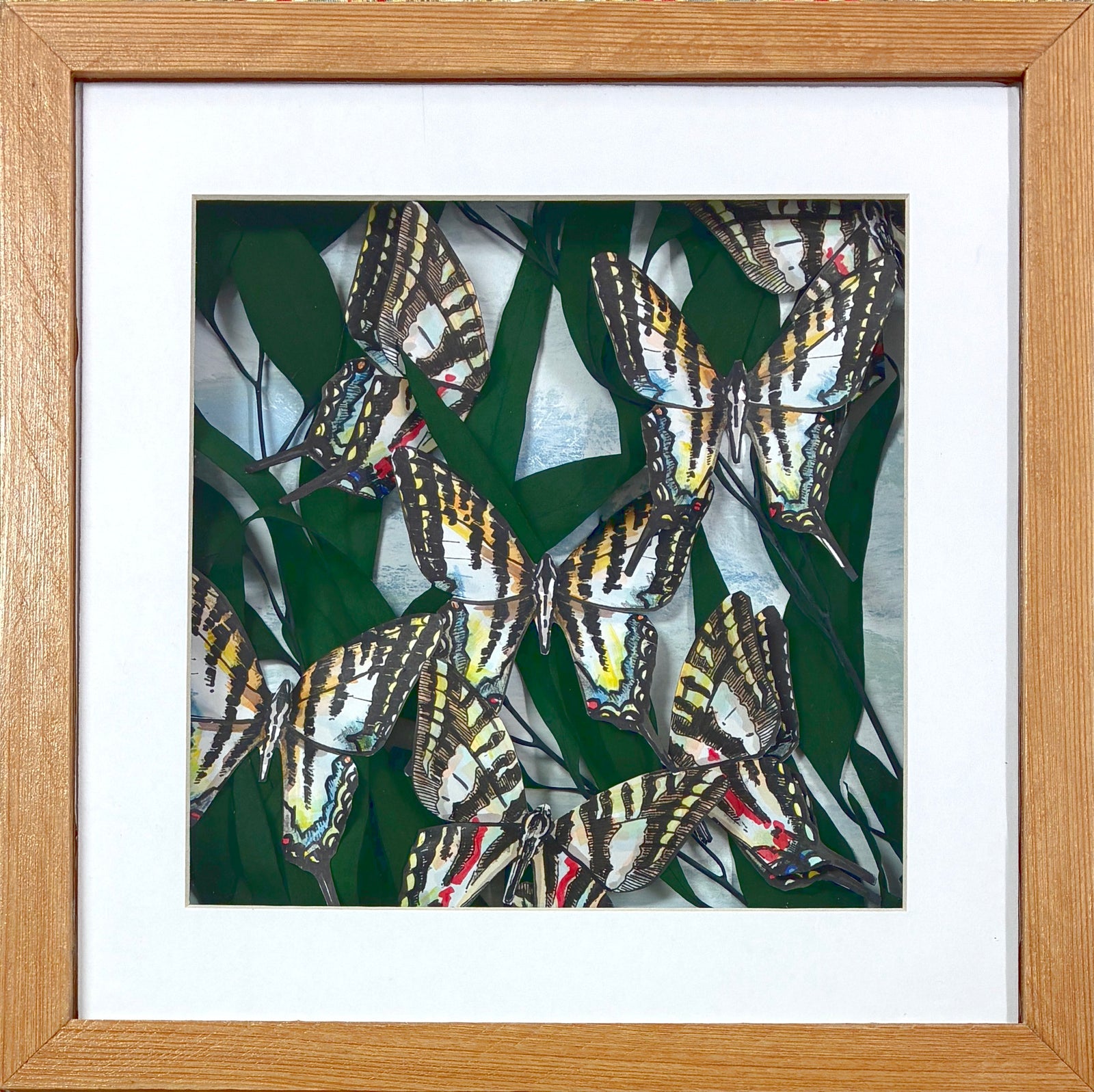 White Zebra Swallowtail