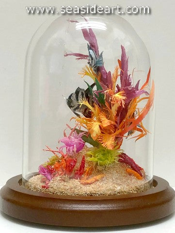 Who Let the Crab In?