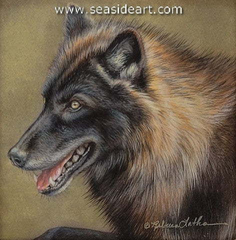 Wild Spirit (Black Wolf)