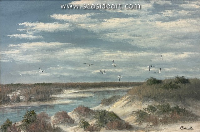 Wings Over the Sound