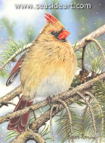 Romine-Winter Arrives