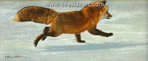 Winter Run (Fox)