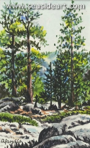 Landis-Yosemite Summer