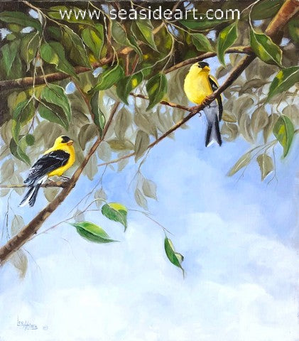 Two Romeos (Male Gold Finch)