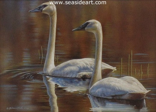 Together - Trumpeter Swans by Rebecca Latham - Seaside Art Gallery