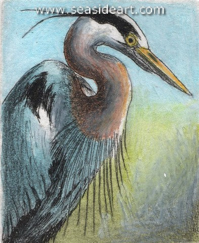 Ardea