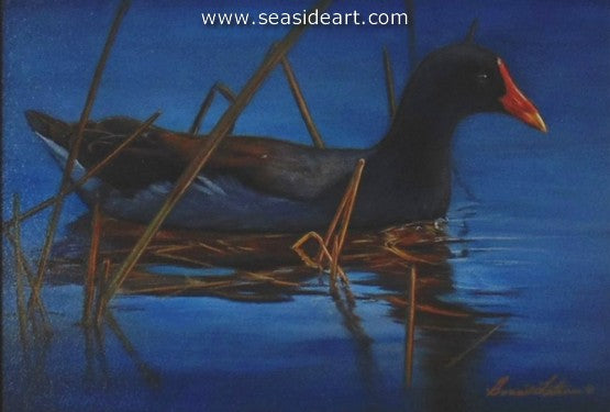 Moorhen by Bonnie Latham - Seaside Art Gallery