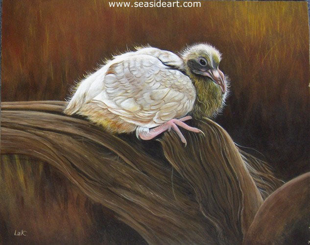 Baby Pigeon by N.W. Lalk - Seaside Art Gallery
