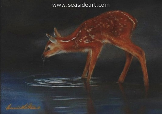 Oasis-Fawn by Bonnie Latham - Seaside Art Gallery