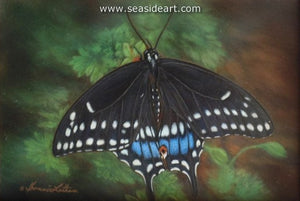 Black Swallowtail Butterfly by Bonnie Latham - Seaside Art Gallery