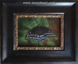 Black Swallowtail Butterfly by Bonnie Latham - Seaside Art Gallery