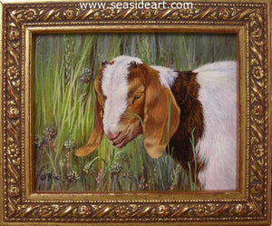 Buttons (Boer Goat) by Catherine Girard - Seaside Art Gallery