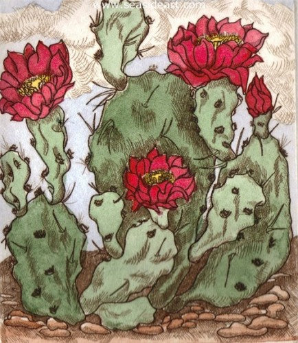 Cactus Flower by Carolyn A. Cohen - Seaside Art Gallery