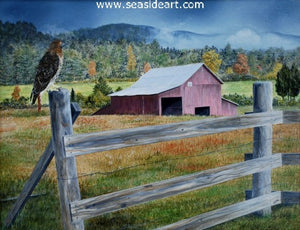 Field Watch at the Circle J, Red-tailed Hawk by Catherine Girard - Seaside Art Gallery